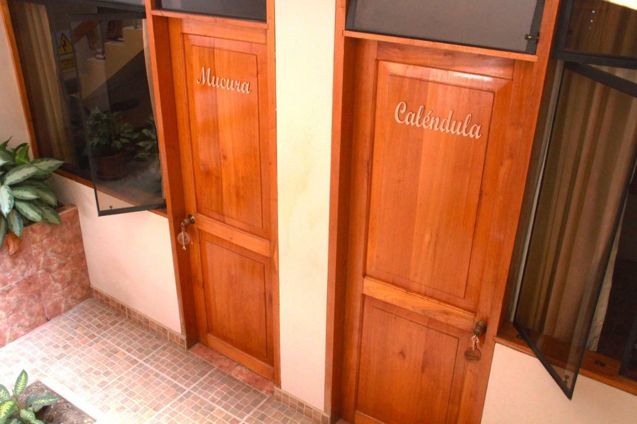 Zygo Bed & Breakfast Tarapoto Luaran gambar
